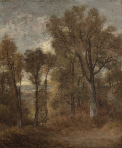 Scène boisée surplombant Dedham Vale, vers 1802-03 - John Constable