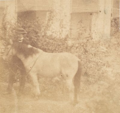 [Homme et cheval, Government House, Allahabad] - John Constantine Stanley