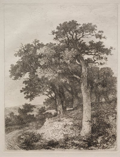À Colney - John Crome