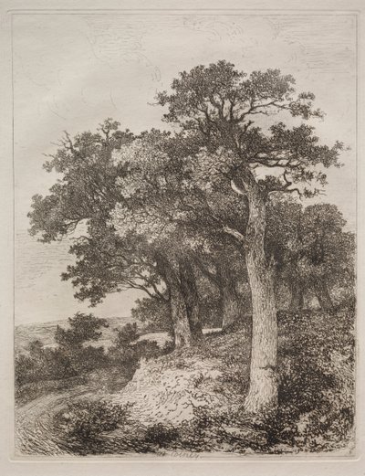 À Colney - John Crome