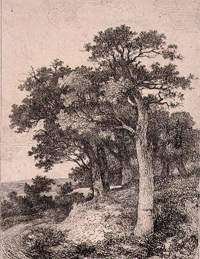 À Colney, pub. par J. & W. Freeman - John Crome