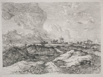 Mousehold Heath - John Crome