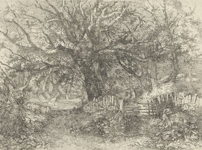 Scène de route, Trowse Hall, 1813 - John Crome