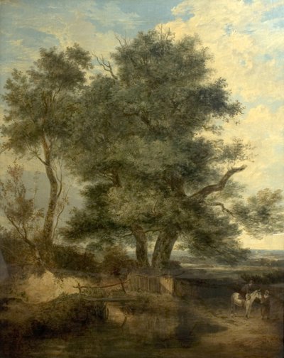Arbres près d