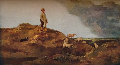 Vue sur Mousehold Heath, près de Norwich, vers 1812 - John Crome