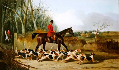 Crocteth Harriers, arrière de Stanfield - John Dalby