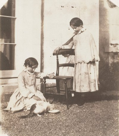 Nourrir le pauvre chat - John Dillwyn Llewelyn