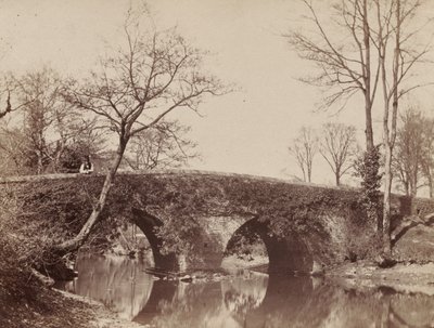 Le pont de campagne Staplylton Bridge, Bristol, vers 1854-1857 - John Dillwyn Llewelyn