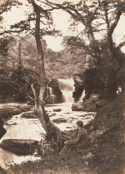 La chute supérieure - John Dillwyn Llewelyn