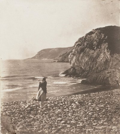 Vents et vagues, 1853-56 - John Dillwyn Llewelyn