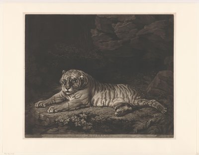Tigresse - John Dixon