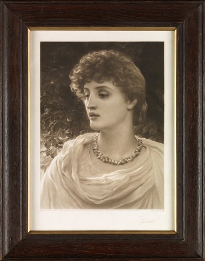 Sylvia - John Douglas Miller
