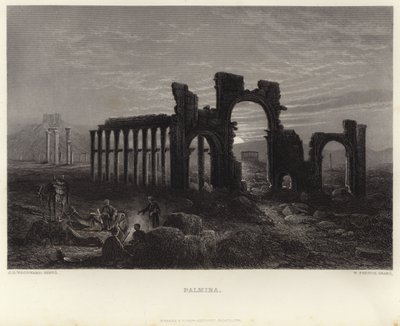 Palmyre - John Douglas Woodward