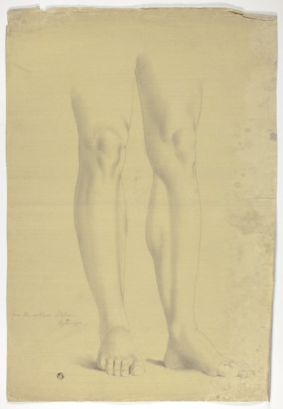 Jambes d