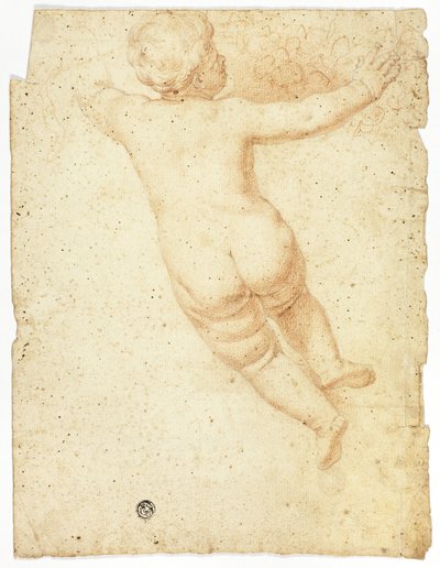 Putto de l