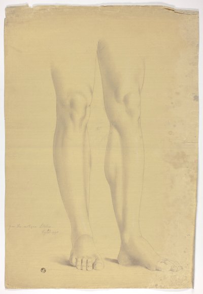 Jambes d