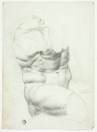 Torse d
