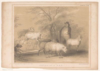 Caricature avec des moutons britanniques (HB Sketches) - John Doyle