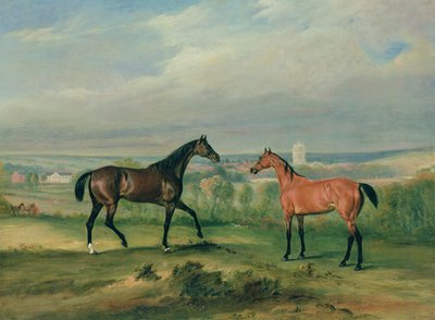 Les chasseurs favoris du comte Bathyany à Melton Mowbray - John E. Ferneley