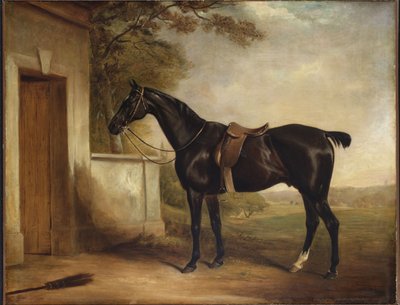 Portrait de Buckle, le chasseur du premier Lord Chesham, 1836 - John E. Ferneley