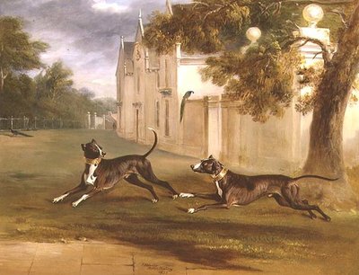 Les deux Bull Terriers du comte de Brownlow, 