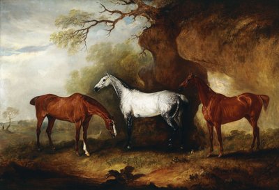 Trois chasseurs appartenant à Robert Myddelton-Biddulph - John E. Ferneley