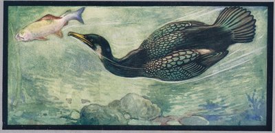 Un oiseau chassant un poisson, illustration de 