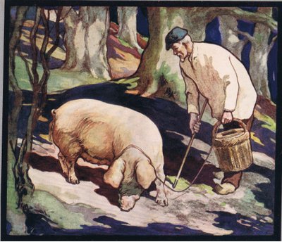 Un cochon cherchant des truffes, illustration de 