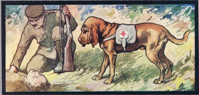 Ambuland bloodhound, illustration de 