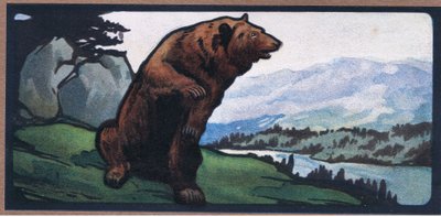 Ours brun - John Edwin Noble