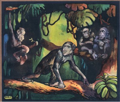 Chimpanzé - John Edwin Noble