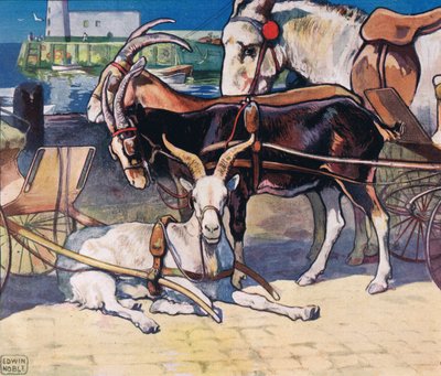 Chèvres au repos, illustration de 