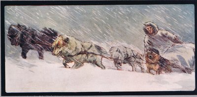Huskies tirant un traîneau, illustration de 
