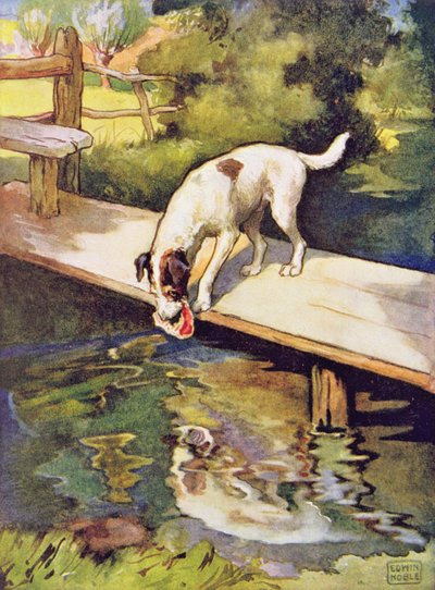 Le chien et son ombre de 