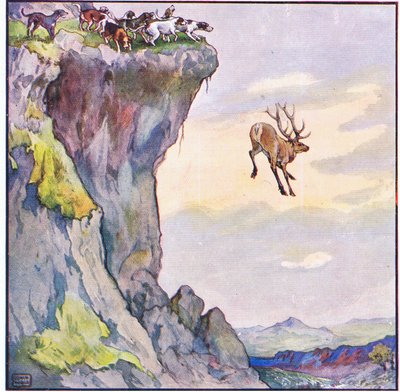 Le cerf plongea dans l