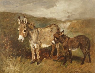 Ânes sur la lande, c.1890 - John Emms