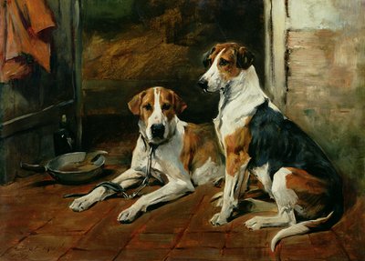 Chiens dans un intérieur d