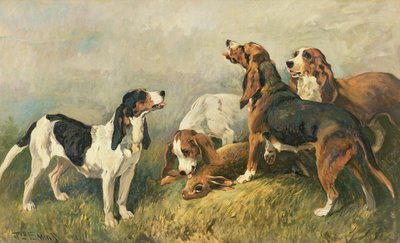Chiens avec un lièvre - John Emms