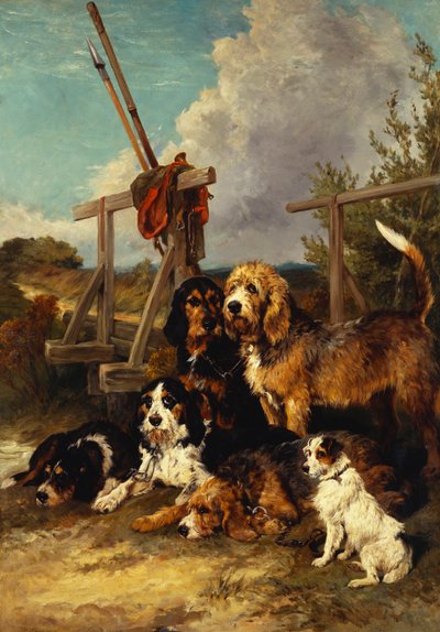 Chiens de loutre près d