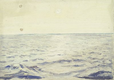 Paysage marin du 