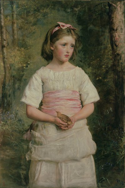 Tombé du nid - John Everett Millais
