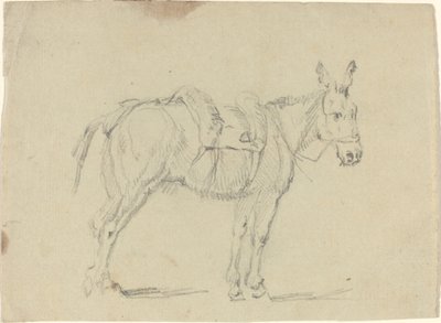 Âne étirant une patte arrière - John Flaxman