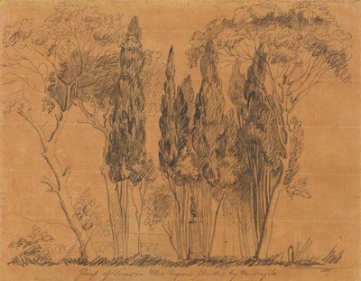 Arbres dans la Villa Negroni plantés par M. Angelo - John Flaxman