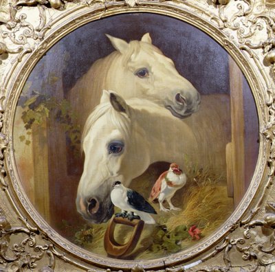Chevaux près d