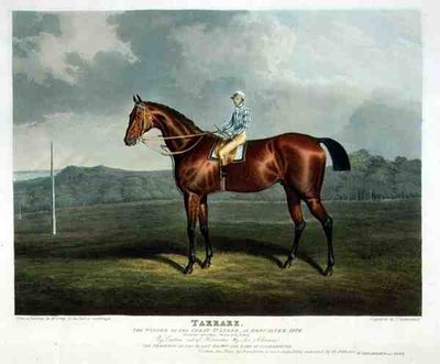 Tarrare, le gagnant du Great St. Leger à Doncaster - John Frederick Herring Snr