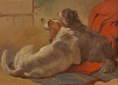 Un chien et un colley barbu assis sur un manteau de chasse - John Frederick Herring