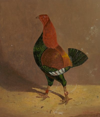 Coqs de combat : un coq de combat à poitrine sombre, tourné vers la gauche - John Frederick Herring