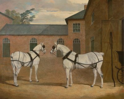 Chevaux gris dans la cour des carrosses à Putteridge Bury, Hertfordshire - John Frederick Herring
