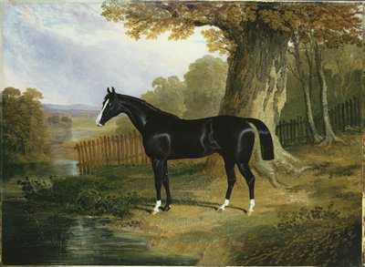 Un chasseur sombre dans un paysage fluvial, 1832 - John Frederick Herring Senior
