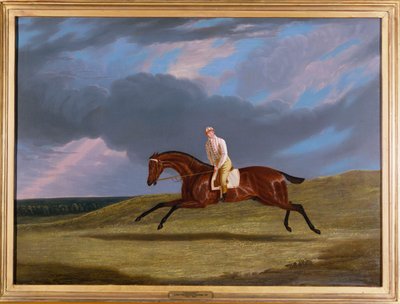 "Corduroy", un Cheval de Course Bai, avec un Jockey, Galopant sur un Hippodrome - John Frederick Herring Senior